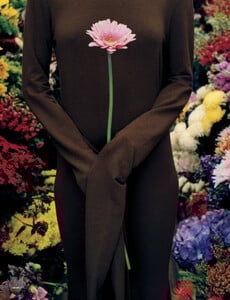 botany_desire_07.jpg