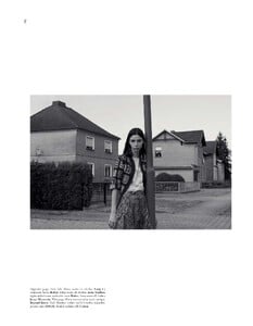suburban_lawns_04.jpg