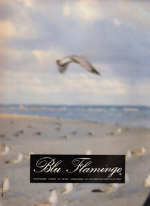 10-ELLEGR-Apr-1990-BLUFLAMINGO-m.KellyFisher-ph.Unk.jpg