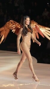 Image-696.jpg
