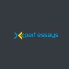 expert essays writers