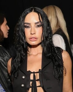 demi4-20.jpg