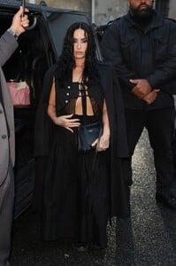 demi4-4.jpg
