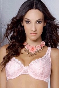 vicky-form-brasier-paula de mora.jpg