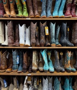 🪽🪽🪽🪽🪽 (3).jpg