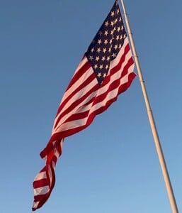 🪽🪽🪽🪽🪽 (4).jpg