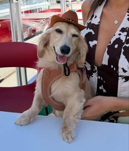 🪽🪽🪽🪽🪽 (6).jpg