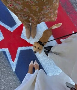 🪽🪽🪽🪽🪽 (7).jpg