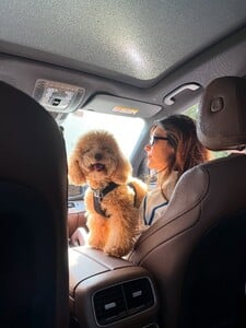 [2025.10.19] kikagomes_567162511_18538425151053953_6235335180881792840_n.jpg