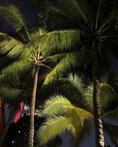 Always the best time 🍜🥢🍵@alo Paid partnership (3).jpg