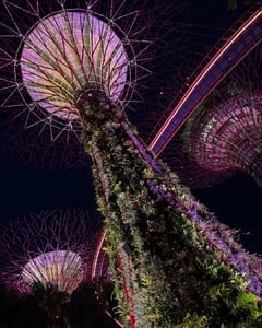 Always the best time 🍜🥢🍵@alo Paid partnership (5).jpg