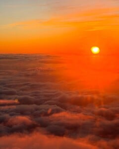 Always the best time 🍜🥢🍵@alo Paid partnership (7).jpg