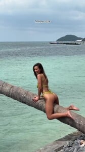 7327906780074364193 - frame at 0m33s.jpg