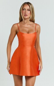 EVenz - Showpo - Carolina_Mini_Dress_-_Scoop_Neck_Panel_Bodice_Dress_in_Orange_6.jpg