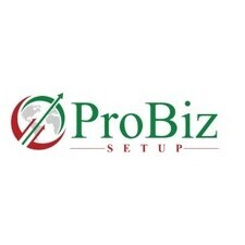 ProBiz Setup