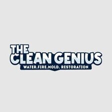 The Clean Genius