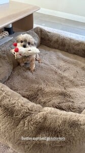 Arianny Celeste - Instagram [2025.08.21] Bentley.jpg