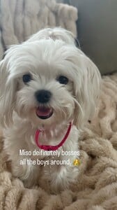 Arianny Celeste - Instagram [2025.08.24] Miso.jpg