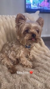 Arianny Celeste - Instagram [2025.09.15] Enzo.jpg