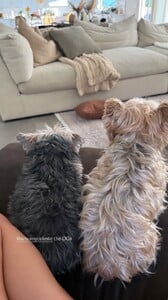 Arianny Celeste - Instagram [2025.11.11] Dogs.jpg