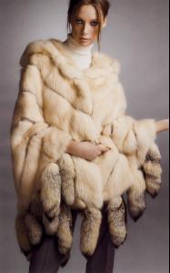 post-1254-1158735521_thumb.jpg