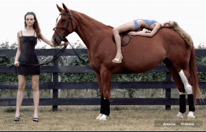 post-1609-1135020579_thumb.gif